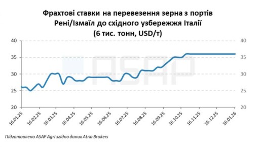 ������ ������: ��������� �����. ���������� ���� ������������ �������� � ����� �������� �������, �������� "���������� �������� ����������"