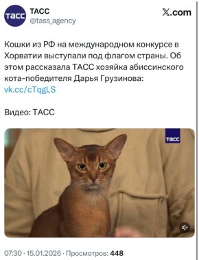 �� ������� ���� ������ ���� �������� �� ��, ��� � ��� �����