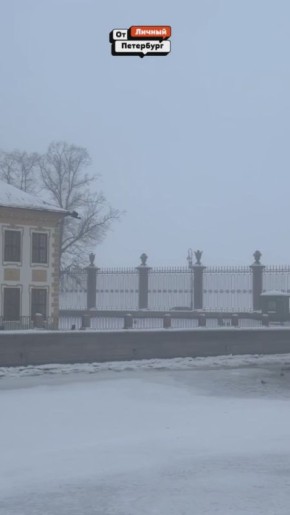 Туман — хороший повод всмотреться внимательнее и заметить неочевидное