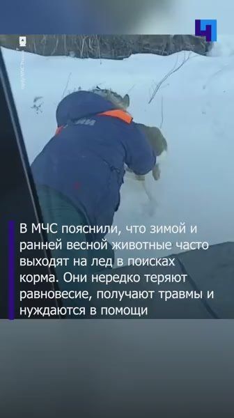 � ����������� ������� ������ ������, ���������� �� ���� �����