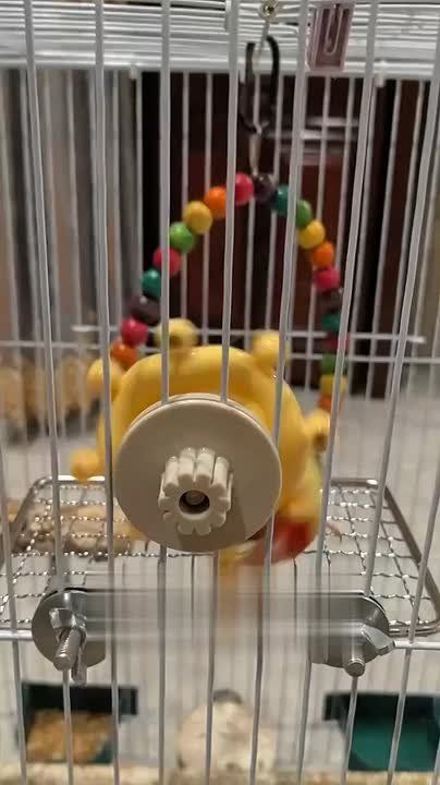 ������� ����-������� ����� ���� � �� ����� �����������