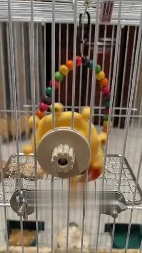 ������� ����-������� ����� ���� � �� ����� �����������