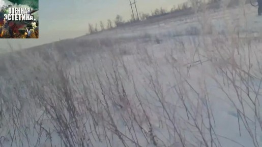 "255 ���� �� ���������������� �����������"