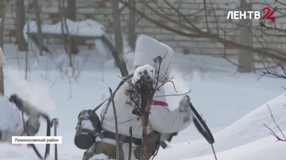 ��� �� ��������� ������ �� ���� ������ ������� ������������-�������� �����������, ������������ �� ��� ������� ������������ ���������� �� ���������� �������