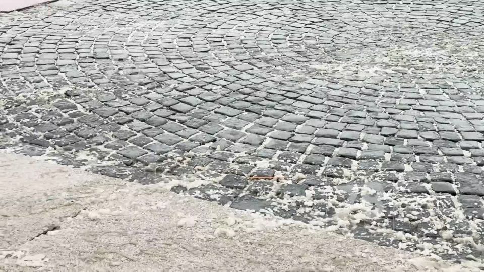 Александровскую колонну покрасили в белый цвет