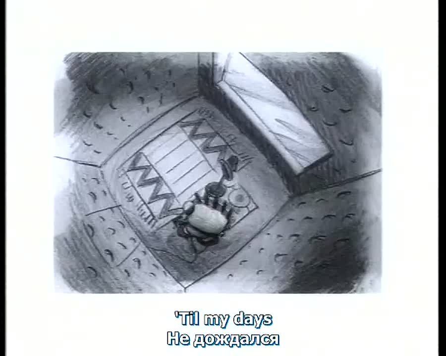 Вечернее музыкальное настроение от ЛенТВ24