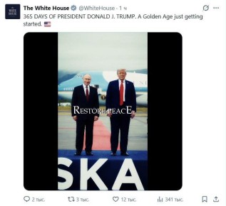 �365 ���� ���������� ������