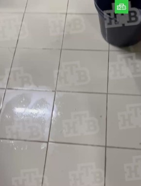 �� �������� �����, 62 �������� ������ � ���������� ��� ������ ���