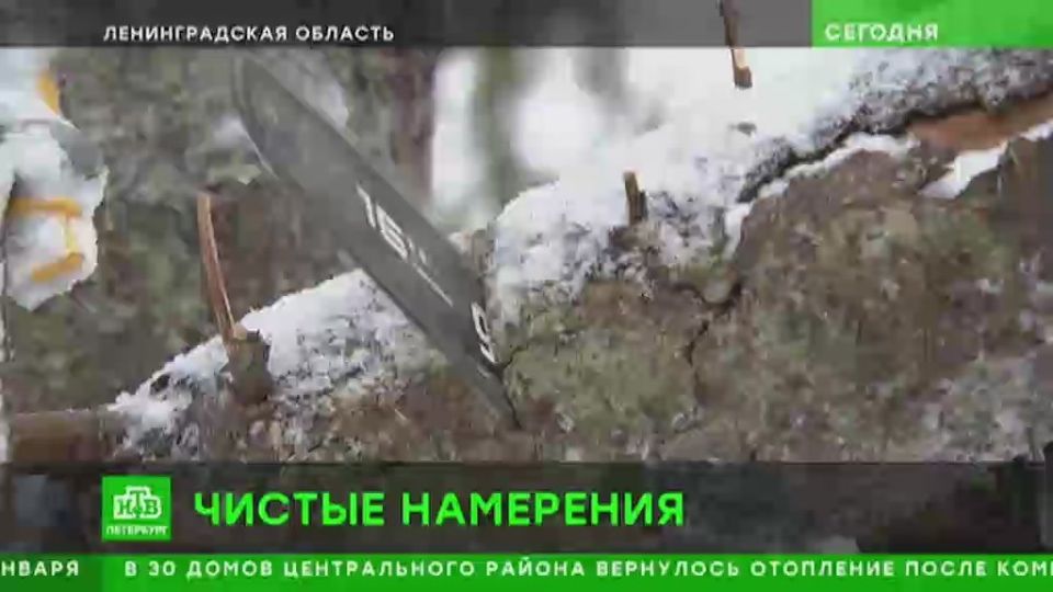 Охту начали освобождать от поваленных деревьев