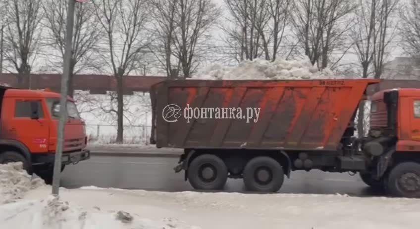 Снег самого модного цвета года уезжает из Петербурга — десятки грузовиков стоят в очереди на снегоплавилку на Зольной улице
