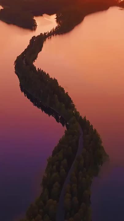 Спокойной ночи, друзья. ——————