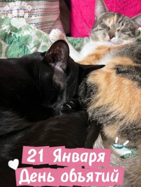 ��������! ������� ����� ������ � �� �������