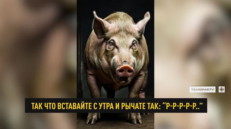 ����� ���� ���������� ������ �������, �� ��� ����� ���������