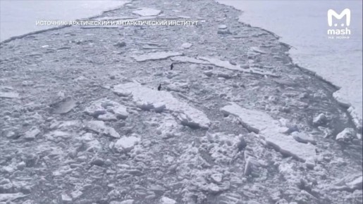 ���� ��������� � ������������� ������������ ������ �� ������ ������������� ������ � ������ ������ ������ �� ������� ����� ����� �������������� �������