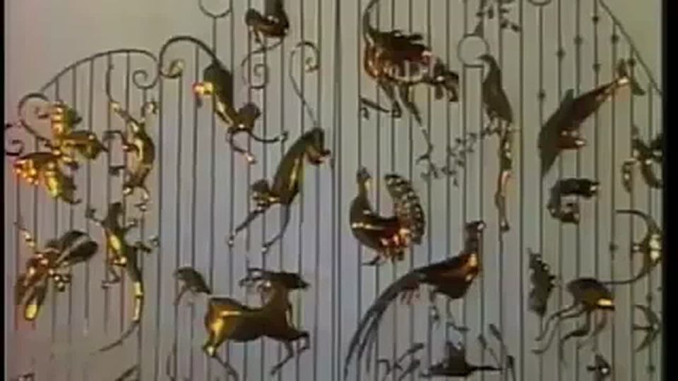 �������� ����������� ���������� �� �����24