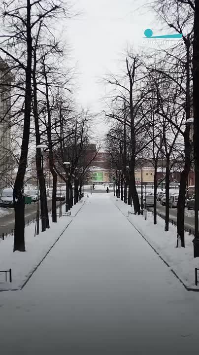 ��� ���� ���� � ������� �������