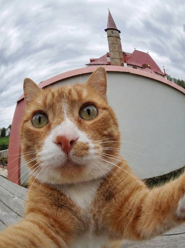 � ������ ����� ������ �� ���� ���� �������� ����� ��������� �����