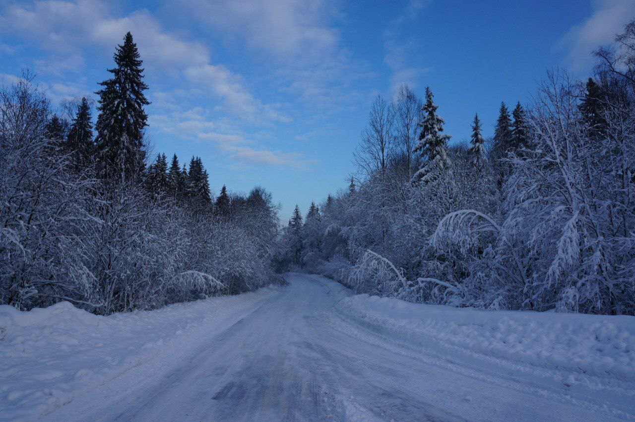 Гладышевский заказник укрыло белоснежным одеялом Гладышевский заказник укрыло белоснежным одеялом