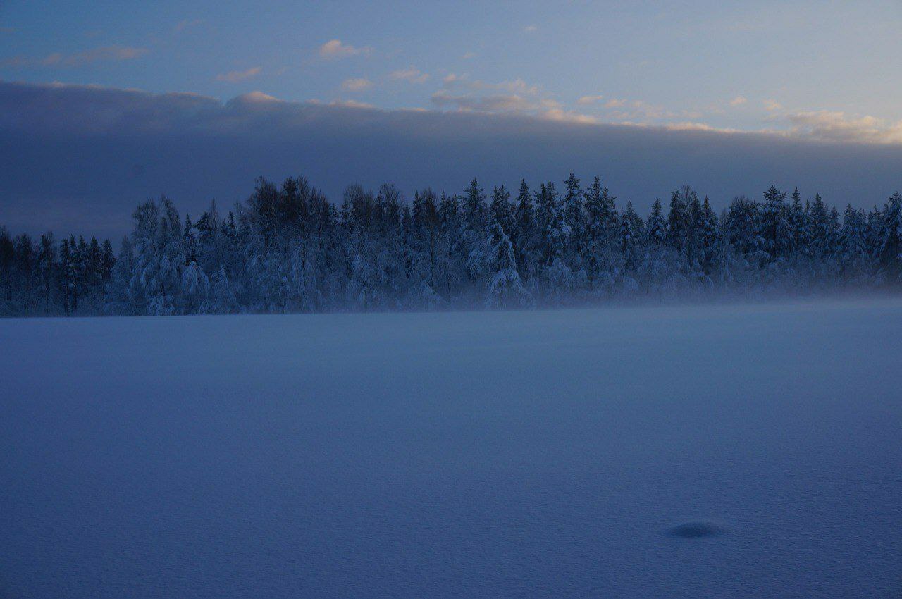 Гладышевский заказник укрыло белоснежным одеялом Гладышевский заказник укрыло белоснежным одеялом