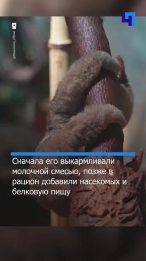 � ���������� �������� �������� ������� ������� ������� �����