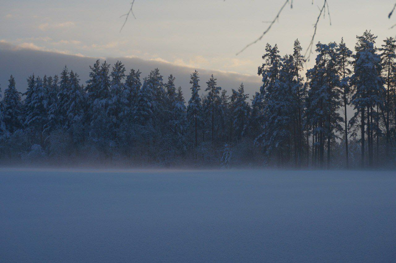 Гладышевский заказник укрыло белоснежным одеялом Гладышевский заказник укрыло белоснежным одеялом