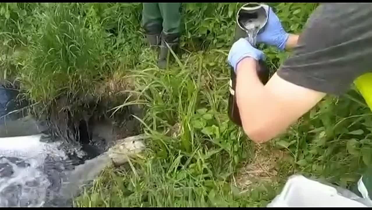 Леноблводоканал выплатит 26,5 млн рублей за ущерб реке Селезневке