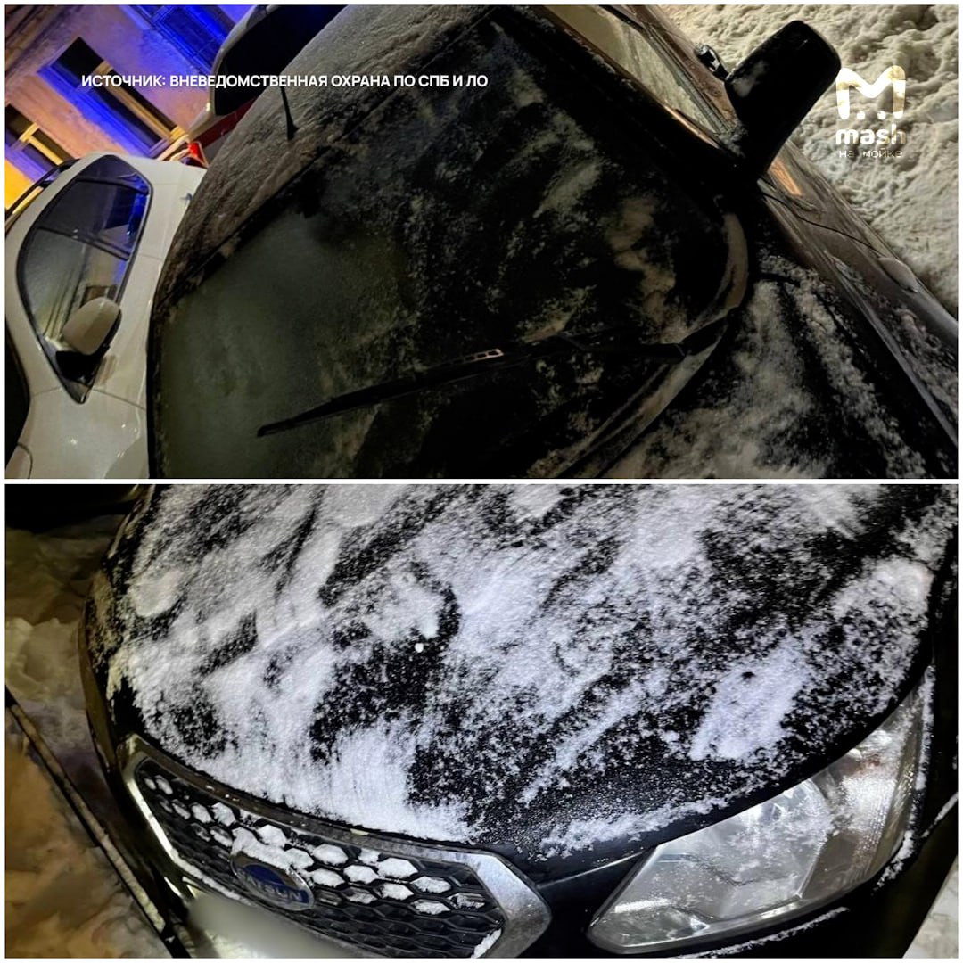 Педант заботливо расчистил тачку от снега перед угоном на Обводном канале — за свою бережливость поплатился скорейшим задержанием Росгвардией