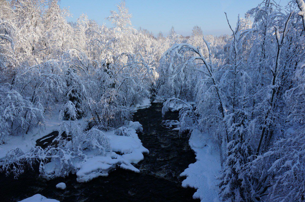 Гладышевский заказник укрыло белоснежным одеялом Гладышевский заказник укрыло белоснежным одеялом