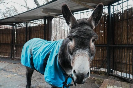 ������, ������! � ������ ������, ����������� �� ���, �������� ����� �����