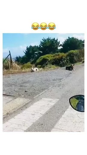 ���� ������ ������ ������ �������