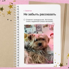 � ��������� ������ �� ������������� ������������ � ������� ��� ����� ������ ������� ������