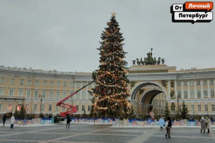 Ёлочку на Дворцовой всё же начали разбирать
