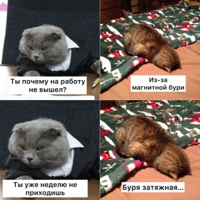 ����� ��������� ����� ��������� ����