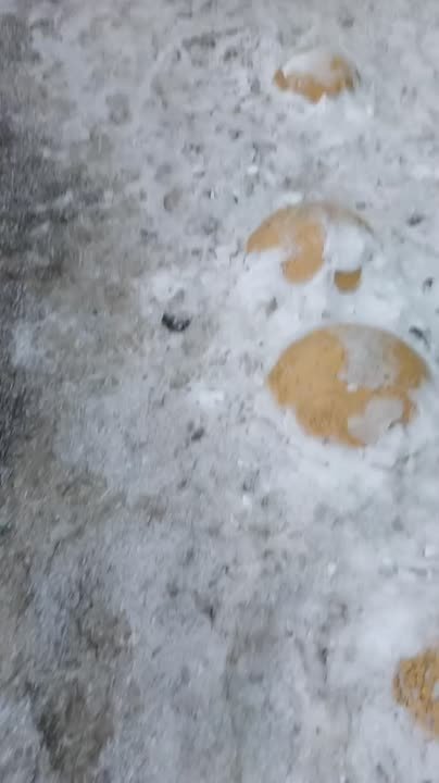 Полиция Петербурга пошла по «Перекрёсткам»