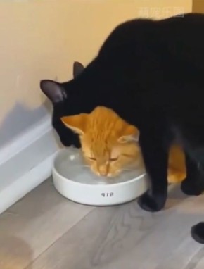 Нормальная ситуация для утра субботы