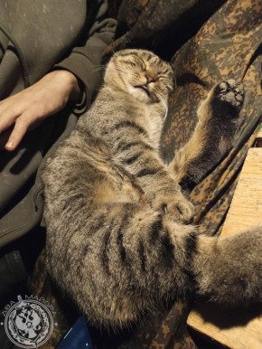 ��� ������: ������� ������ �������