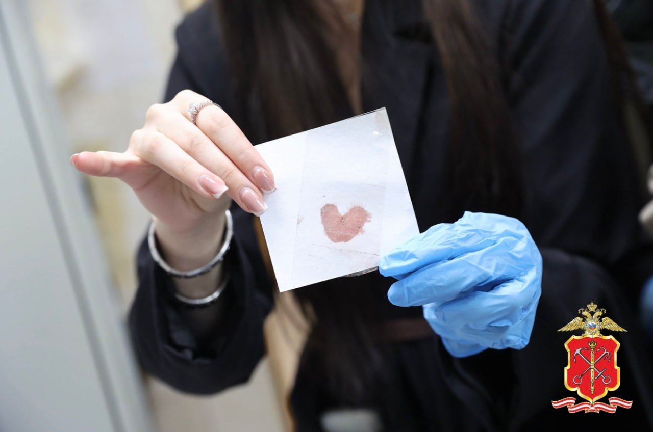 Студенческий десант» - в Приморском районе Санкт-Петербурга! Студенческий десант» - в Приморском районе Санкт-Петербурга!