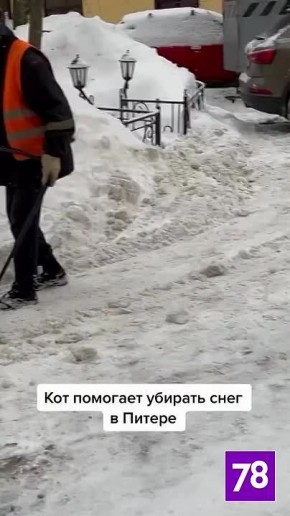 ����� ����� ������� ��������� � ����������