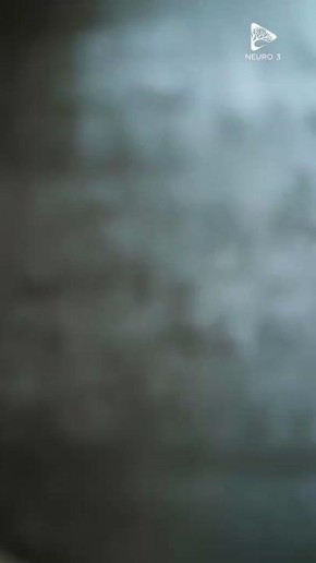 ���� ��������: ����������� �� ���������� ���