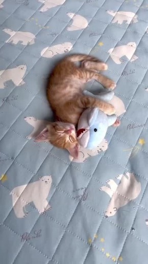 ��������� ����, ������!. ������