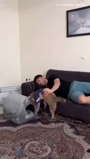 ��������� ����, ������!. ������