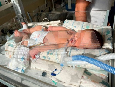 ������������ ���� ������������ ��������� ���� ���������� ��������� ������