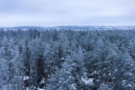 ������ ������ � ��������� ���������� � �������� �������� ��������� ��������� ������ �������