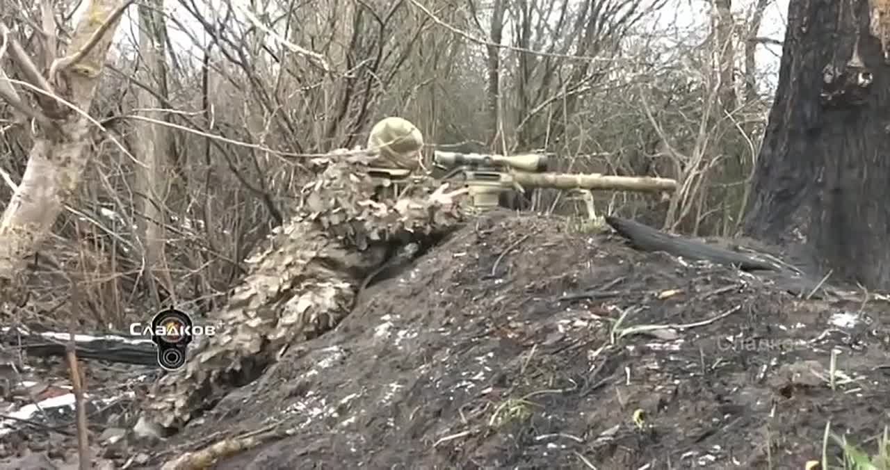 Вой. Твой вой заставит. Стынуть в жилах кровь