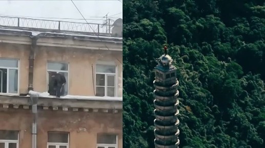 ������������� ������� vs ������������ ��������