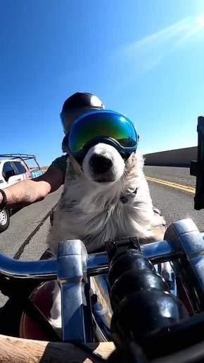 ���� ��������� �����������, ������!