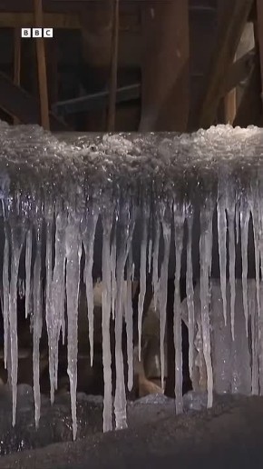 ��� ������ ���������������, � �� ����� �� �� ���������