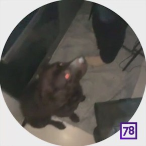 �� �� ��� ��� �� ����, ��� ��� ���: ������� ������� � ����� ����� ����������� � ��������