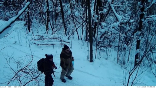 � ���������� ��������� ����������, ������� � ������ � �������� ��������� � ����� ����������� ������