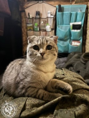 ��� ������: ������� ������ �������